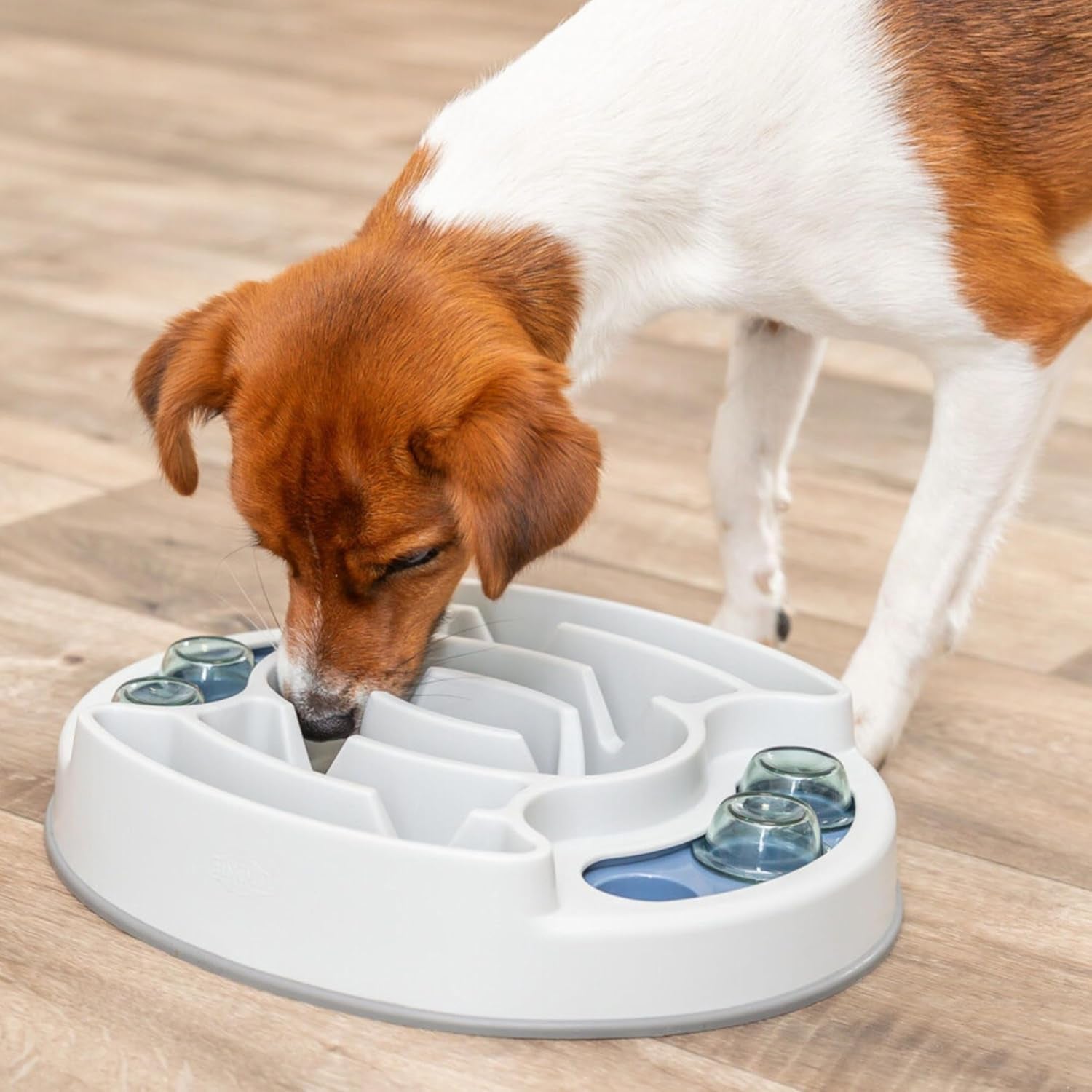 Slide & Feed Dog Activity Interactive Toy to keep your pet's mind sharp