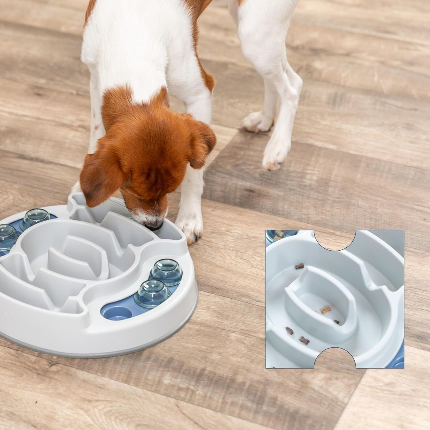 Slide & Feed Dog Activity Interactive Toy to keep your pet's mind sharp