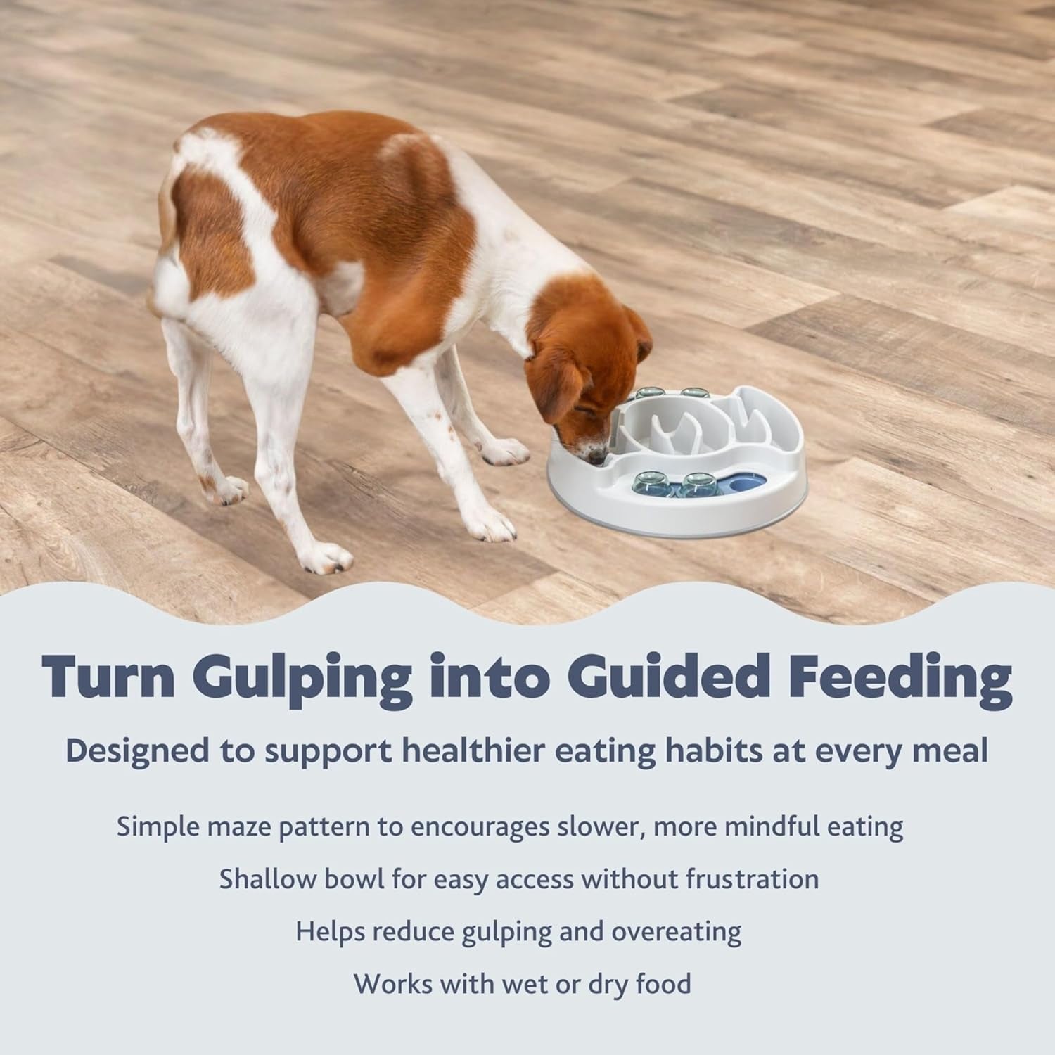 Slide & Feed Dog Activity Interactive Toy to keep your pet's mind sharp