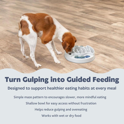 Slide & Feed Dog Activity Interactive Toy to keep your pet's mind sharp