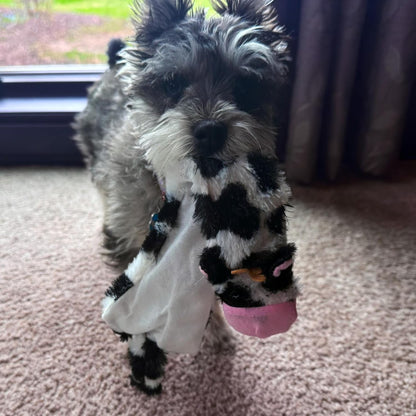 Crinkle Dog Toy, Stuffing-Free Cow Toy with Squeaker for Small Dogs and Puppies,For Moderate Chewers 14 Inch
