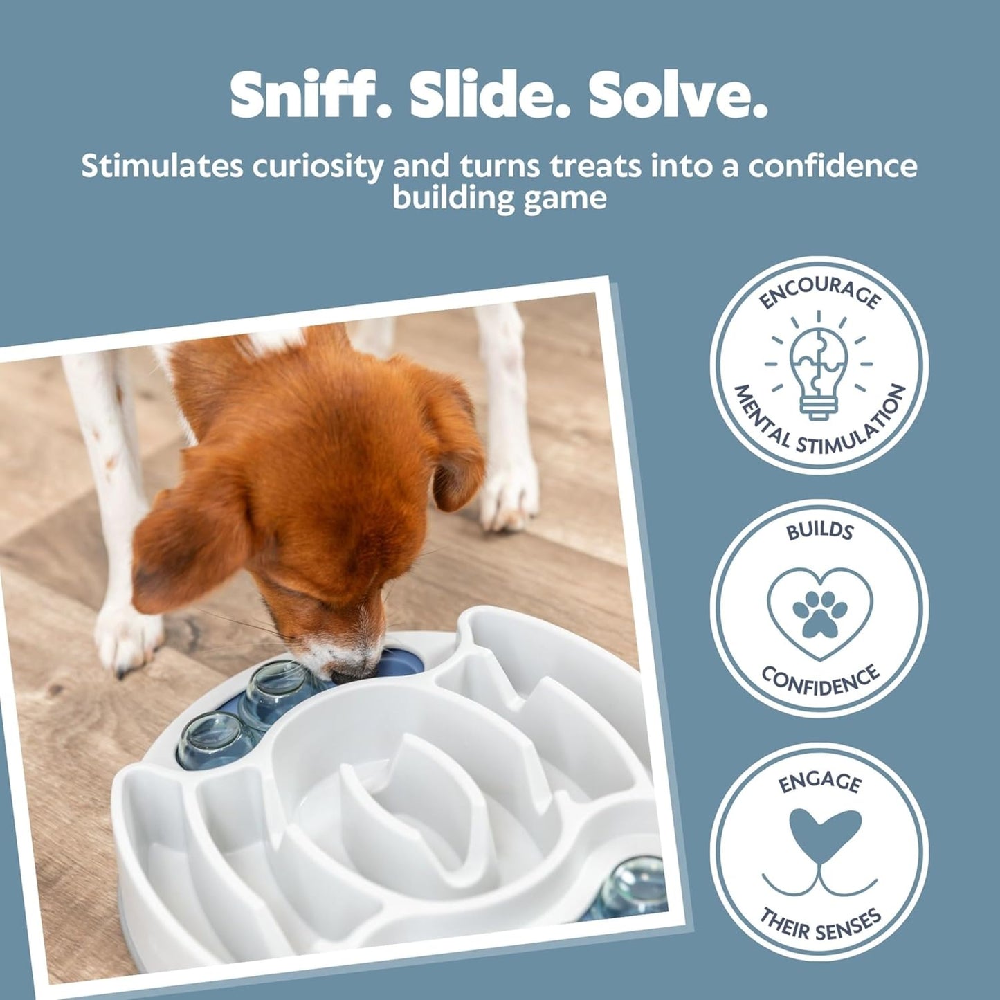 Slide & Feed Dog Activity Interactive Toy to keep your pet's mind sharp